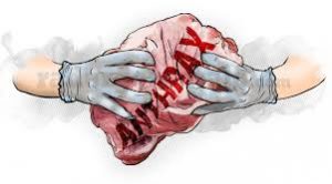 anthrax hewan kurban daging sapi